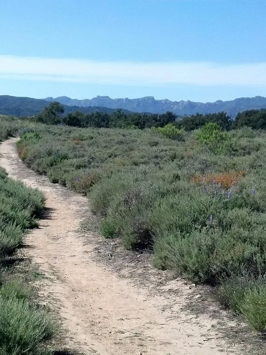 vereda de la estrella