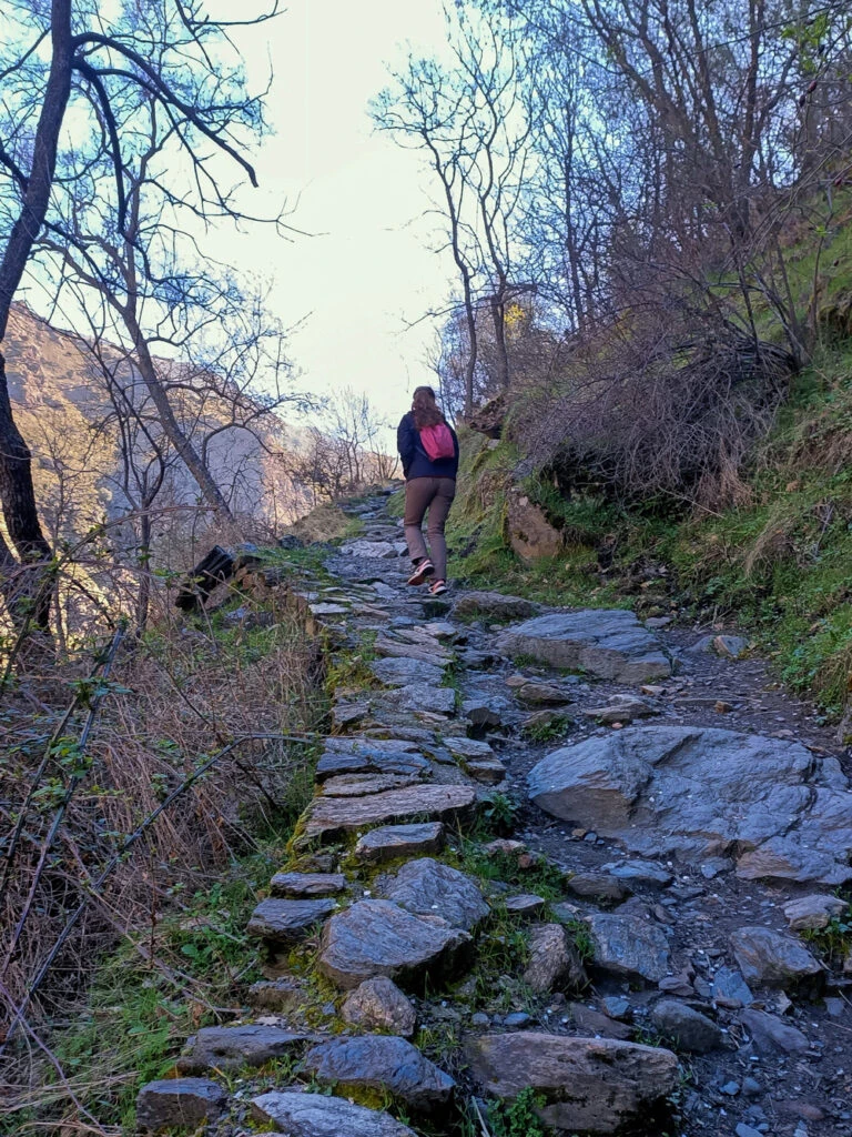 Vereda de la Estrella