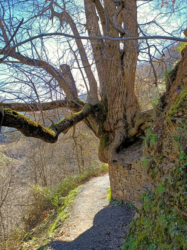 Vereda de la Estrella