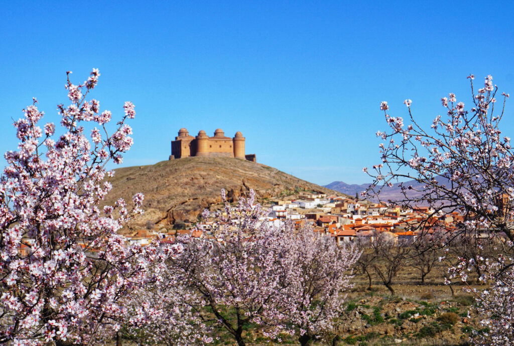 Castillo de la Calahorra 